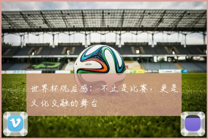 世界杯观后感:不止是比赛,更是文化交融的舞台
