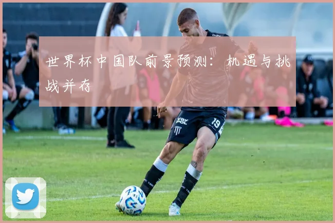 世界杯中国队前景预测：机遇与挑战并存